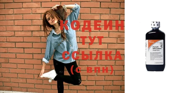 спайс Гусь-Хрустальный