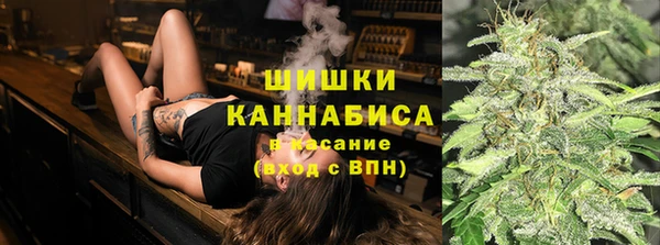 ECSTASY Горняк