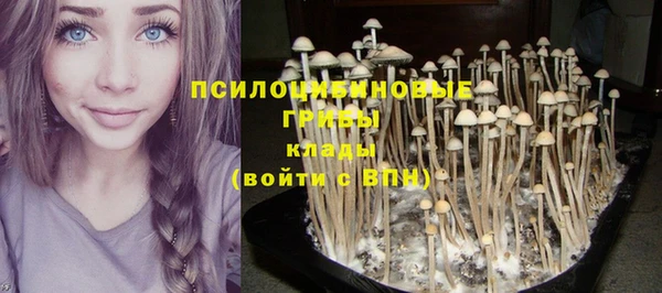 спайс Гусь-Хрустальный