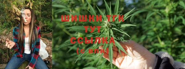 эйфоретик Гусев